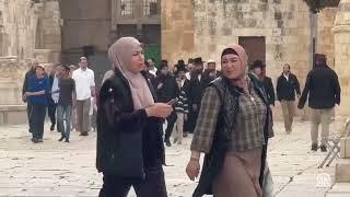  A group of illegal Israeli settlers stormed the Al-Aqsa Mosque complex in occupied East Jerusalem