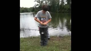 Bluegill fishing