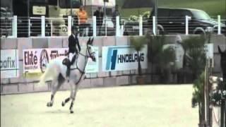 Born for you `Sporthorses from Holland` FOR SALE peter bulthuis