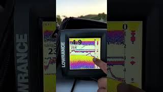 Подъём сома на эхолоте Lowrance #рыбалка #fishing #сом #ловлясома #приколы