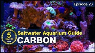 See how easily $1.50 in carbon produces pristine blue water. My favorite reef tank filtration media.