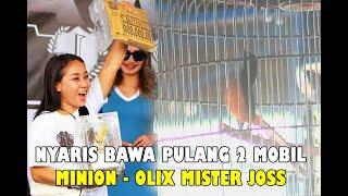 NYARIS BAWA PULANG 2 MOBIL|||PENAMPILAN MINION - OLIX MISTER JOSS.