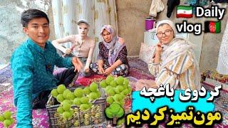 ولاگ خانوادگی رفتیم آموزشگاه 🪡و خرید برای کار آبجی معصوم  و تمیز کاری گردوی باغچه 