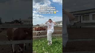 Вот такие реалии современного мира   #юмор  #прикол ##прикол #horse  #молочныепродукты #funny