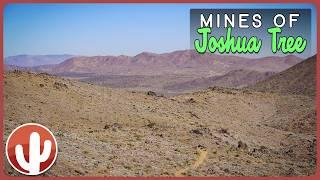 Gold Rush Adventures: Exploring the Legendary Mines of Joshua Tree National Park