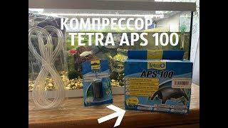 КОМПРЕССОР TETRA APS 100 / СТОИТ ЛИ ЕГО ПОКУПАТЬ?