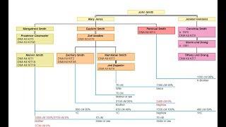 Charting Companion DNA Matrix