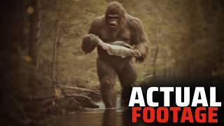 This NEW Bigfoot Footage Might Be the Convincing EVIDENCE!