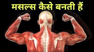 How muscles are formed by going to the gym - muscle regeneration in Hindi