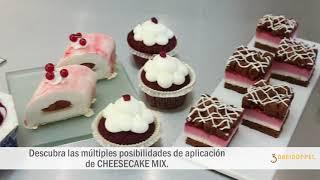 IREKS presenta: CHEESECAKE MIX de DREIDOPPEL