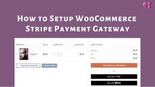 Connect Stripe With WooCommerce - Easy in 2 minutes