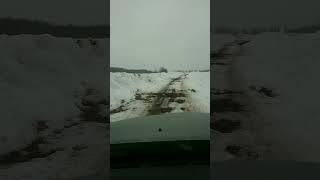 Лучше бы не чистили... #shorts