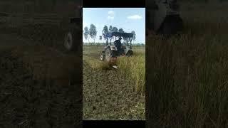 Reaper mounted on back of Tractor  Rice harvesting