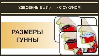 Айман Сувейд. 2. Размеры гунны в нун и мим (русские субтитры)