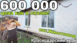 ЦЕНА КАК В СКАЗКЕ//Продаётся Дом 60 м2 за 600 000 р,8 918 291 42 47 пос.Животновод Краснодарский кр