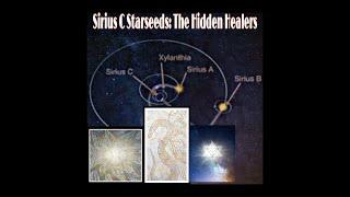 Sirius C Starseeds: The Hidden Healers