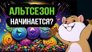 Bitcoin в зоне эйфории. Наконец-то альтсезон? Обзор рынка