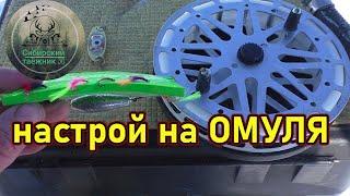 НАСТРОЙ НА ОМУЛЯ , РАБОЧИЕ МУХИ , НА ЧТО Я ЛОВЛЮ 