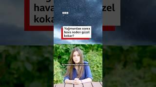 Yağmur yağdıktan sonra hava neden çok güzel kokar?