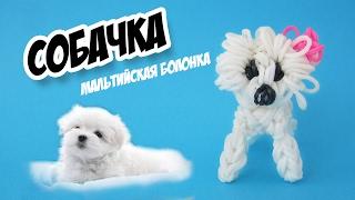 СОБАЧКА из резинок на станке. Животные из резинок | Dog Rainbow Loom