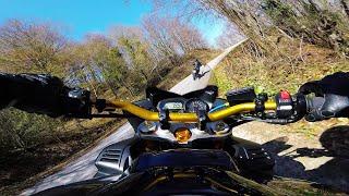 Yamaha FZ1 Chasing Bmw S1000XR