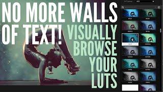 Tip Tuesday - Visually Browse your Custom LUT Library with Magic Bullet Looks
