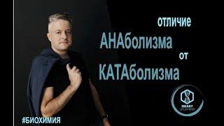 Биохимия: Отличие анаболизма от катаболизма