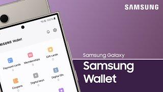 Use Samsung Wallet on the Galaxy S24 series to store payment cards digitally | Samsung US