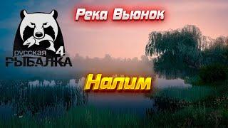 RR4 #6 Река Вьюнок. Ночная ловля Налима.