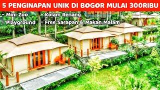 BELUM BANYAK YANG TAU‼️5 PENGINAPAN UNIK DI BOGOR ADA KOLAM RENANG, SARAPAN & FASILITAS LENGKAP