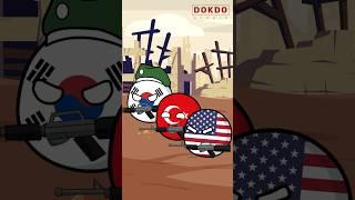 S. Korea and Turkey alliance relationship #countryballs #shots