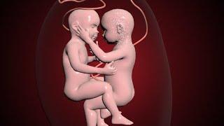 Amazing twins moments inside the womb . #everyone