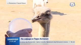 На сафари в Парк Антилоп