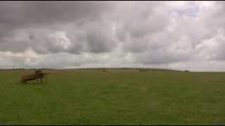 Saint Cuthman of Steyning, Saxon Shepherd, FULL FILM 25 mins (film)