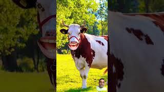 Roti sabji le aao re #cow #sound #funny #shorts #video