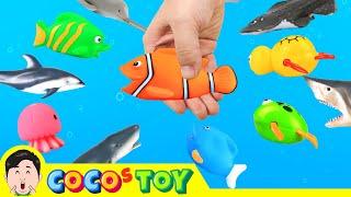 Catching animals in streamsㅣsea animals cartoon for kidsㅣCoCosToy