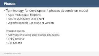 Software Testing Fundamentals: Phases and Milestones