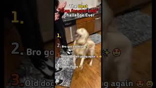 Best ''Clap For Your Dog'' Challenge Ever!!  #funny #animals #challenge