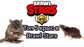 Топ 5 крыс в Brawl Stars | Top 5 rats in Brawl Stars