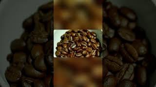 ¿Quién Descubrió el Café? La Fascinante Historia Detrás de Tu Taza | Historias Del Planeta