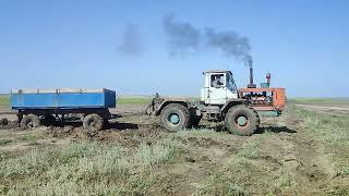 Т-150к.посадили телегу в солонцах.