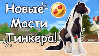 Покупка НОВОЙ Масти Тинкера! | Новые Масти Тинкера | Star Stable Online