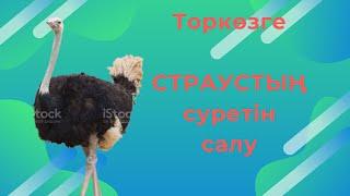 Как нарисовать СТРАУСА( Страустың сурет)