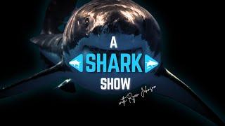 Its a Shark Show with Ryan Johnson