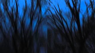 THE FOREST OF MY MIND 01  VACKSBOOK 2016.