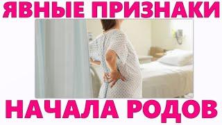 РОДЫ | Когда начинаются роды и пора ехать в роддом