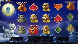 Wolf Cub Slot BONUS GAME