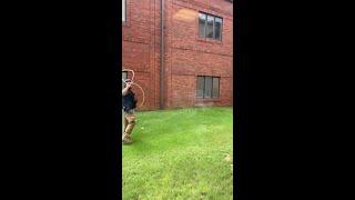 Cow goes to church