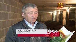 Алексей Марков разводит Дождевых червей "Старатель"