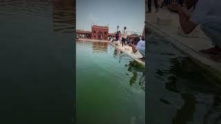Jama Masjid  wuzu khana #afzal_vlogs #explore #viral #trending